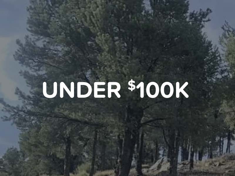 Land for sale in Apple Valley for under $100,000